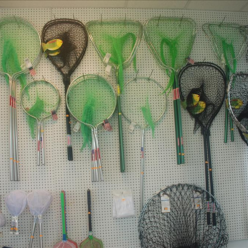St-Augustine-Marina-Fishing-Tackle-Supplies-Gear-9